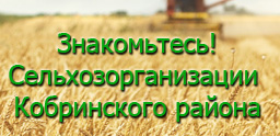 Сельхозорганизации Кобринского района